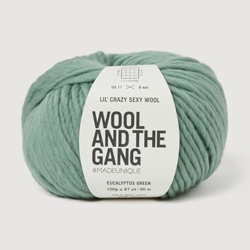 Wool and the Gang, Lil' Crazy Sexy Wolle, Eukalyptusgrün, 100 g, grob von Wool and the Gang