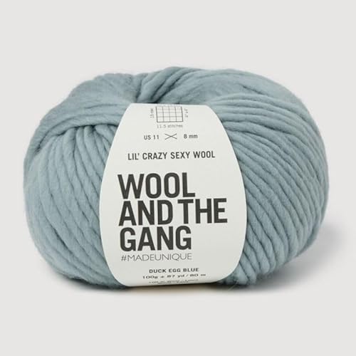 Wool and the Gang, Lil' Crazy Sexy Wolle, Zarteiblau, 100 g, grob von Wool and the Gang