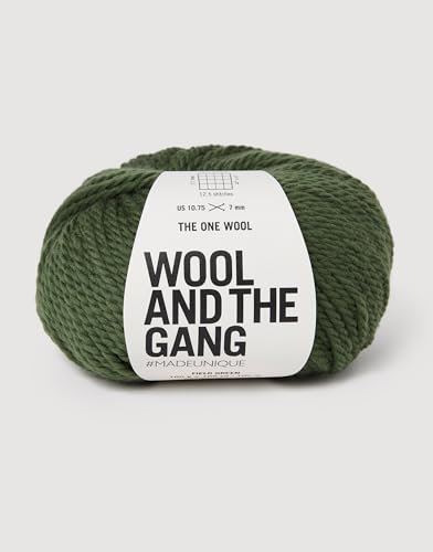 Wool and the Gang, The One Wolle, Feldgrün, 100 g, grob von Wool and the Gang