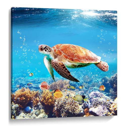 Badezimmer Schildkröte Bild Wandkunst Ozean Untersee Wassertier Natur Fotodruck auf Leinwand für Kinderzimmer Blau Wanddekoration 30,5 x 30,5 cm von Woxfcart