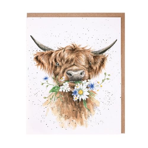 Wrendale - JCS150 - Doppelkarte mit Umschlag, The Country Set, Hochland Rind, Daisy Coo, 17cm x 14cm von Wrendale Designs