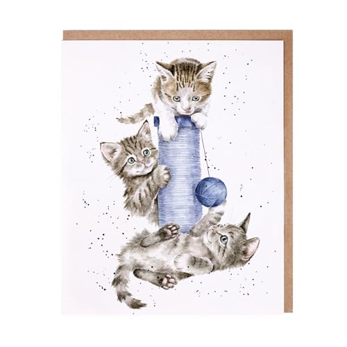 Wrendale - JCS243 - Doppelkarte mit Umschlag, The Country Set, Katzen spielen am Kratzbaum, Three´s a Crowd, 17cm x 14cm von Wrendale Designs