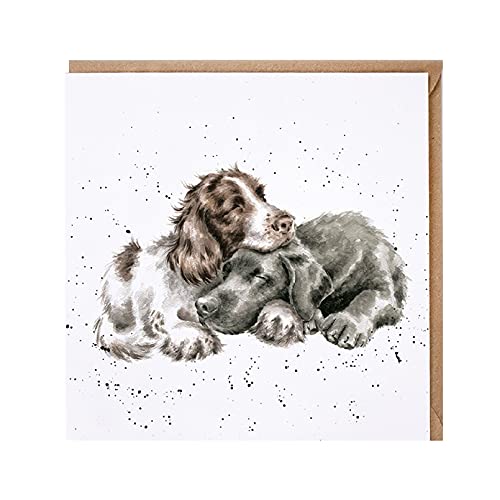 Wrendale - CS206 - Doppelkarte mit Umschlag, Hunde, growing old together, 15cm x 15cm, quadratisch von Wrendale Designs