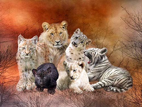 Wssmsy 5D Diamant Painting Full Drill Set,Tiger Löwen Leopard DIY Diamond Painting Kreuz Stich Diamond Dekoration für Home Wall Décor-16x20inch/Ohne Rahmen von Wssmsy