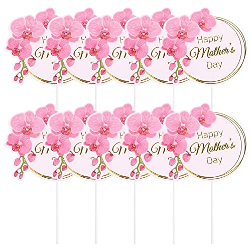 Wudaizhi 10pcs Cake Topper Happy Mother's Day Cupcake Toppers Blumenstrauß Bandkuchenkarte Für Mutter Geburtstagsfeier Dekorationen Lieferungen Zubehör Liefert Accessoires von Wudaizhi