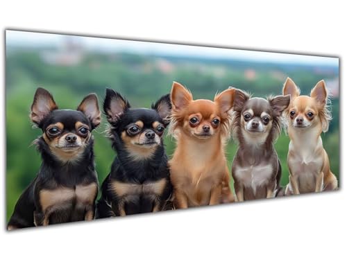 5D Diamond Painting Erwachsene Niedlich, Diamond Painting Zubehör Dog Diamond Painting XXL, DIY Vollbohrer Diamant Painting Stickerei Set Kreuzstich, Diamond Painting für Zimmer Deko 30x60cm-LL63 von Wuleogxi