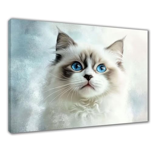 Diamond Painting Erwachsene Katze Diamond Painting XXL 30x50 cm Weiß Diamant Malerei Kinder Anfänger DIY 5D Malen nach Zahlen Stickerei Bastelset Wohnzimmer Deko, Mädchen/Jungs Geschenk F1-433 von Wuleogxi