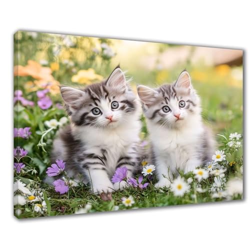 Diamond Painting Erwachsene Katze Diamond Painting XXL 40x50 cm Niedlich Diamant Malerei Kinder Anfänger DIY 5D Malen nach Zahlen Stickerei Bastelset Wohnzimmer Deko, Mädchen/Jungs Geschenk F1-278 von Wuleogxi