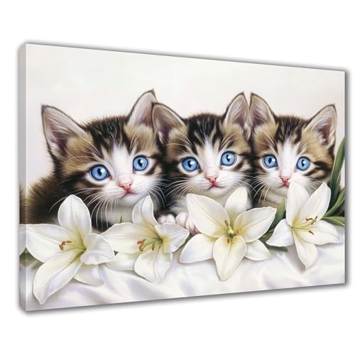 Diamond Painting Erwachsene Katze Diamond Painting XXL 70x90 cm Lilie Diamant Malerei Kinder Anfänger DIY 5D Malen nach Zahlen Stickerei Bastelset Wohnzimmer Deko, Mädchen/Jungs Geschenk F1-282 von Wuleogxi