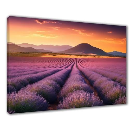 Diamond Painting Erwachsene Lavendel Diamond Painting XXL 30x40 cm Sonnenuntergang Diamant Malerei Kinder Anfänger DIY 5D Malen nach Zahlen Stickerei Bastelset Wohnzimmer Deko, Mädchen Geschenk F1-516 von Wuleogxi