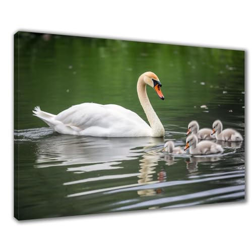 Diamond Painting Erwachsene Schwan Diamond Painting XXL 30x40 cm See Diamant Malerei Kinder Anfänger DIY 5D Malen nach Zahlen Stickerei Bastelset Wohnzimmer Deko, Mädchen/Jungs Geschenk F1-513 von Wuleogxi