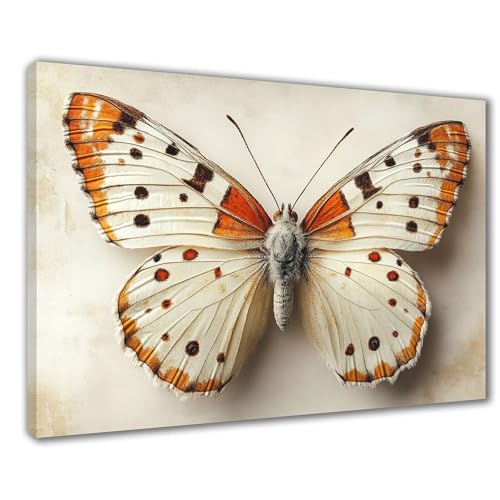 Diamond Painting Schmetterling Diamond Painting Erwachsene Groß XXL Bunt 30x50 cm Diamant Malerei Kinder Anfänger DIY 5D Malen nach Zahlen Stickerei Zuhause Deko, Geschenk zum Muttertag F1-423 von Wuleogxi