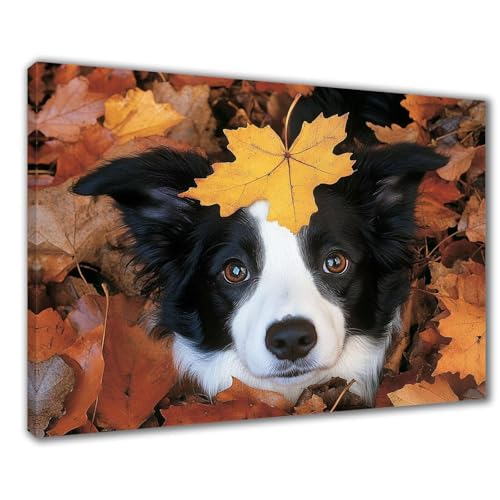 Hund Diamond Painting Erwachsene XXL 30x40 cm Diamond Painting Herbst, DIY 5D Kinder Diamant Bilder Eckige Steine Voll Zubehör Stickerei Kreuzstich Bastelset für Zimmer Deko, Geschenke Frauen F1-232 von Wuleogxi