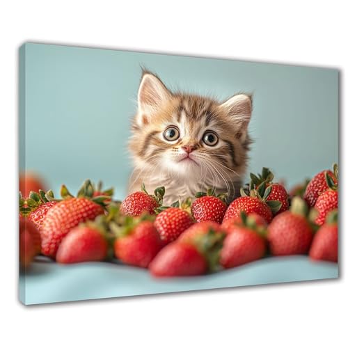 Katze Diamond Painting Erwachsene XXL 30x50 cm Diamond Painting Erdbeere, DIY 5D Kinder Diamant Bilder Eckige Steine Voll Zubehör Stickerei Kreuzstich Bastelset für Zimmer Deko Geschenke F1-467 von Wuleogxi