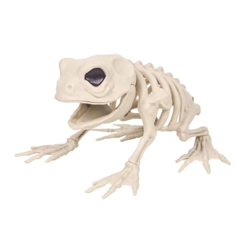 Wyerewel Skelett-Frosch-Halloween-Dekorationen – bewegliche Skelett-Tiere, Skelette mit beweglichen Gelenken, Halloween-Dekoration von Wyerewel