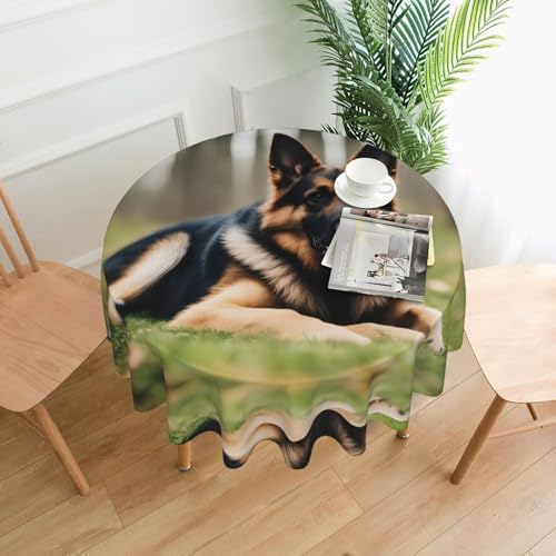 XBKGOHA Runde dekorative Tischdecke, 152,4 cm, Tiermotiv, Deutscher Schäferhund, für den Innen- und Außenbereich, auf runden Tischen wie Couchtischen, Esstischen und Bauernhoftischen XBKGOHA Runde dekorative Tischdecke, 152,4 cm, Tiermotiv, Deutscher Schäferhund, für den Innen- und Außenbereich, auf runden Tischen wie Couchtischen, Esstischen und Bauernhoftischen von XBKGOHA