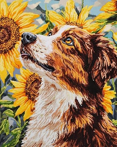 XDEGHUANGSS Gestempeltes Kreuzstich-Set,Sonnenblume,Golden Retriever,Kreuzstich-Ornament-Set für Erwachsene und Anfänger,DIY-Stickerei- Set,Heimdekoration,40x50 cm von XDEGHUANGSS