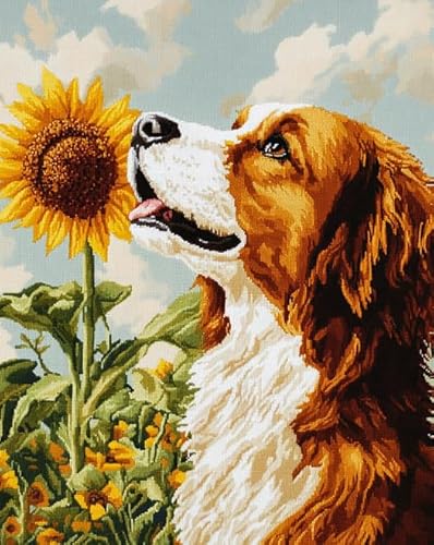 XDEGHUANGSS Gestempeltes Kreuzstichset,Sonnenblumen-Golden Retriever,Kreuzstichset für erwachsene Anfänger,DIY-Kreuzstichset für Heimdekoration,40x50 cm von XDEGHUANGSS