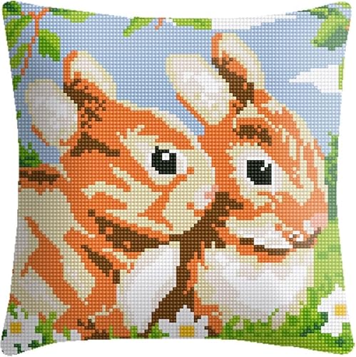 XDEGHUANGSS Knüpfhaken-Set für Erwachsene,komplettes Kissenbezug-Set,Latch Hook Kit Cushion,Häkelset für Anfänger,43x43cm,Kaninchen von XDEGHUANGSS