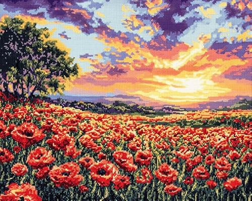 XDEGHUANGSS Kreuzstichset mit Landschaftsmotiv,Blumenfeld bei Sonnenuntergang,11-fädiges Stickset,3-fädiger Druck,Basteln,Wanddekoration für Zuhause,40x50 cm von XDEGHUANGSS