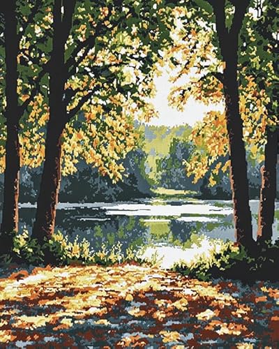 XDEGHUANGSS Kreuzstichset mit Landschaftsmotiv,Waldsee,11-fädiges Stickset,3-fädiger Druck,Basteln,Wanddekoration für Zuhause,40x50 cm von XDEGHUANGSS