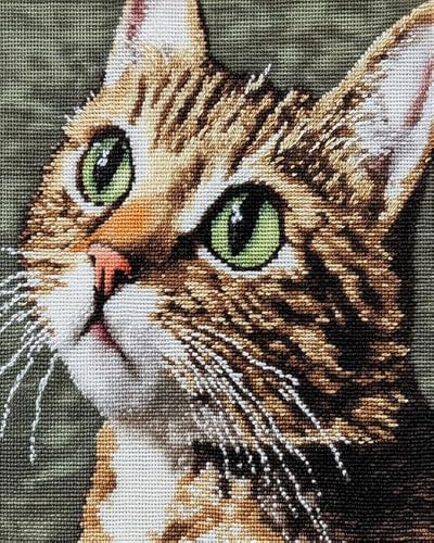 XDEGHUANGSS Kreuzstichset mit Tieren,süße Katzen,11-fädiges Stickset,3-strängiger Druck,DIY-Basteln,Wanddekoration für Zuhause,40x50 cm von XDEGHUANGSS