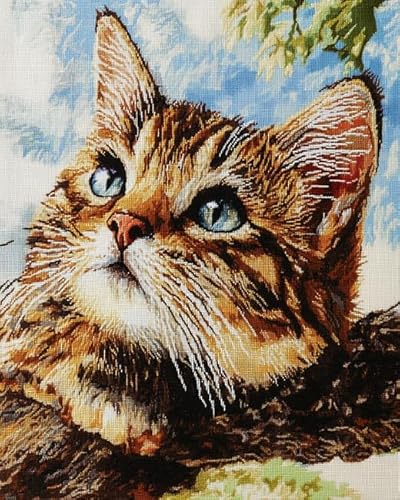 XDEGHUANGSS Kreuzstichset mit Tieren,süße Katzen,komplettes Stickset zur Wohnzimmerdekoration,inkl. Sticktuch,Faden,Nadel und Anleitung,40x50 cm von XDEGHUANGSS