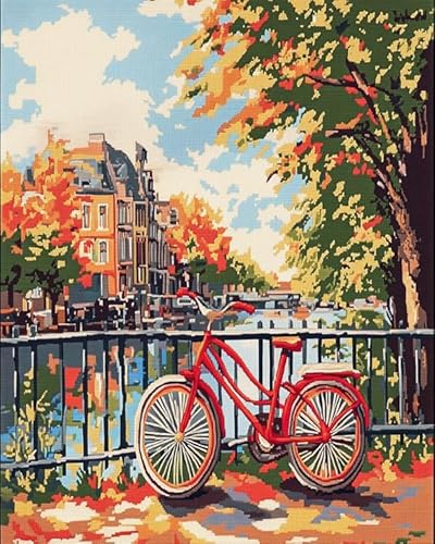 XDEGHUANGSS Vergessenes Fahrrad am Fluss.Kreuzstich-Set für Erwachsene und Anfänger.40x50 cm großes Stickset mit Baumwoll-Canvas; enthält 2 Nadeln,Garn und eine leicht lesbare Tabelle von XDEGHUANGSS