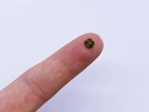 5mm Rosenblütenknöpfe Micro Mini Knöpfe Winzige Knöpfe Puppennähen von XDMING