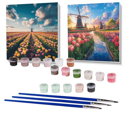 2 Pack Malen Nach Zahlen Erwachsene Windmühle, Malen Nach Zahlen auf Leinwand mit Pinsel und Acrylfarben set 100 x 100 cm, Bastelset Erwachsene Blume, für Deko Wohnzimmer und Geschenke SPYH-2100 von XELIETOO