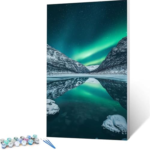 Malen Nach Zahlen Erwachsene Aurora, Malen Nach Zahlen auf Leinwand mit Pinsel und Acrylfarben set 100 x 200 cm, Diy Bastelset Erwachsene Sternenhimmel, für Deko Wohnzimmer, Geschenke für Frauen 4125 von XELIETOO