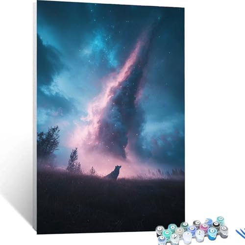 Malen Nach Zahlen Erwachsene Wölfe, Malen Nach Zahlen auf Leinwand mit Pinsel und Acrylfarben set 30x40cm, Diy Bastelset Erwachsene Sternenhimmel, für Deko Wohnzimmer und Geschenke für Frauen 4509 von XELIETOO