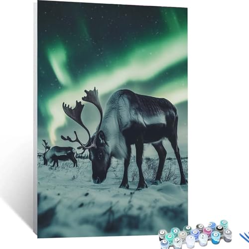 XELIETOO Malen Nach Zahlen Erwachsene Aurora, Malen Nach Zahlen auf Leinwand mit Pinsel und Acrylfarben set 30x40cm, Diy Bastelset Erwachsene Hirsch, für Deko Wohnzimmer und Geschenke für Frauen 1796 von XELIETOO