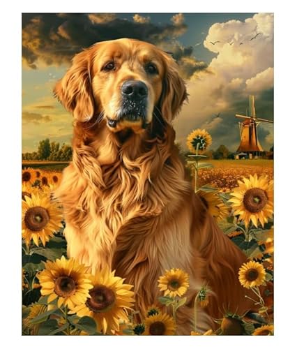 XFENDOUDOU Kreuzstich Stickpackungen Golden Retriever auf dem Bauernhof 11 CT Kreuzstich Stickpackungen,Stickbilder Vorgedruckt Kreuzstich für Wandkunst-Heimdekoration 40x50cm XFENDOUDOU Kreuzstich Stickpackungen Golden Retriever auf dem Bauernhof 11 CT Kreuzstich Stickpackungen,Stickbilder Vorgedruckt Kreuzstich für Wandkunst-Heimdekoration 40x50cm von XFENDOUDOU
