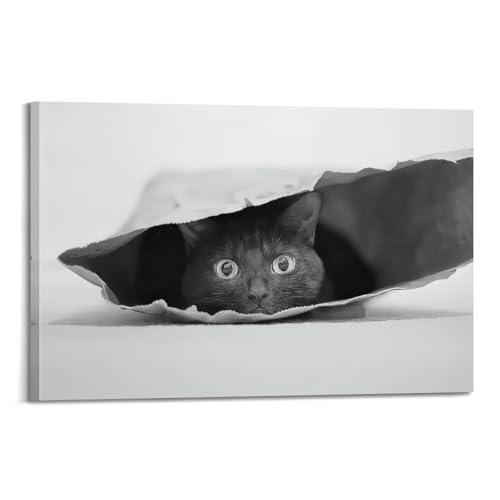 XFPMXC Tierposter, Motiv: Eine schwarze Katze mit großen Augen steckt den Kopf aus einer zerrissenen Papiertüte, dekoratives Gemälde, Leinwand, Wandkunstwerk, Bild, 40 x 60 cm von XFPMXC