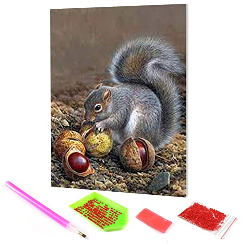 Hoobee 5D Diamond Painting DIY Set Eichhörnchen, Diamond Painting Bilder Tier, Vollbohrer Stickerei Kreuzstich Kunst Handwerk für Zuhause Wanddekoration (30×40 cm) von XGAGHB