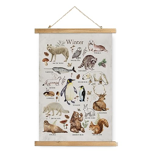 XIAOAIKA Winter-Wildtier-Pädagogisches Poster – illustrierte arktische Tiere Diagramm mit Holzrahmen – saisonale Natur-Wandkunst für Klassenzimmer, Zuhause oder Naturzentrum, 30 x 40 cm von XIAOAIKA