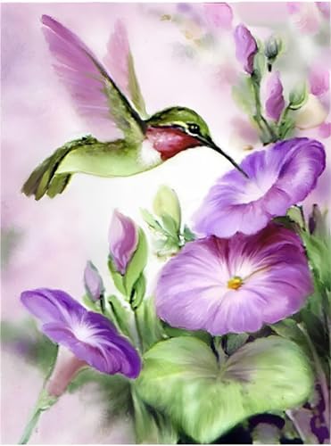 XIAOYOUQIAN Malen Nach Zahlen Erwachsene, Paint By Numbers, Diy Handgemalt Ölgemälde Mit 3 , Pinseln Und Acrylfarbe Knitterfreie Leinwand Kit ,40X50 Cm,Tier Vogel,Mit Rahmen XIAOYOUQIAN Malen Nach Zahlen Erwachsene, Paint By Numbers, Diy Handgemalt Ölgemälde Mit 3 , Pinseln Und Acrylfarbe Knitterfreie Leinwand Kit ,40X50 Cm,Tier Vogel,Mit Rahmen von XIAOYOUQIAN