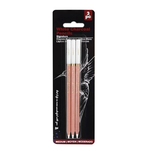 2/3/4 Stück/Set Skizzieren Highlight Stift Weiß Kohlestift Zeichnen Weiße Bleistifte Professionelle Skizzierstifte von XINAJUND