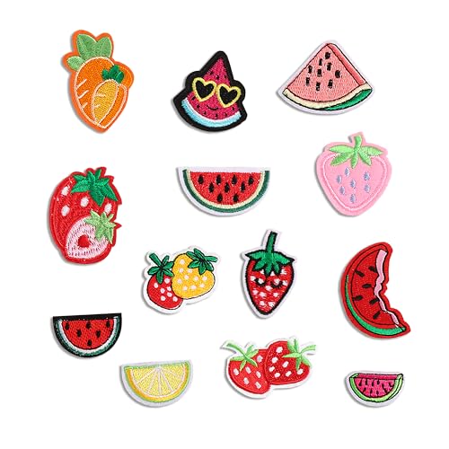 ​​​​13 Stück Bügelbilder Obst Nähen auf Reparatur bestickte Applikation 1-2 Zoll Vintage Obst DIY Patches Handwerk Geschenke Kleidung Rucksack Hut von XINGNIAO