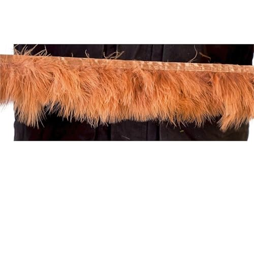 XPJYUA Federbesatz 1 Meter Flauschige Federn, Fransenband, 10–15 cm, Feder auf Band, Fransen, Nähen, Party, Kleidung, Kleid, Dekoration(Brown) von XPJYUA