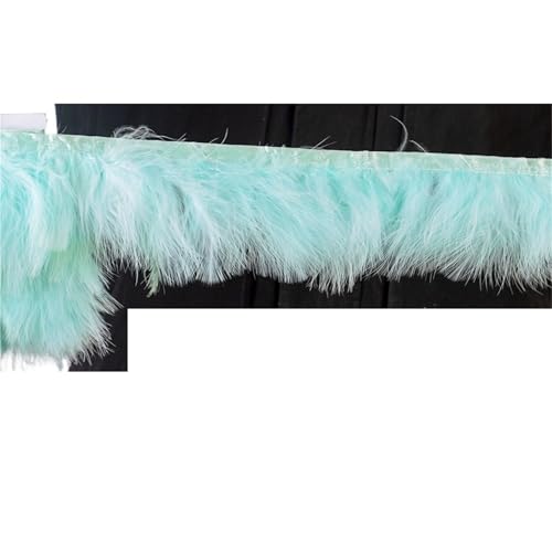 XPJYUA Federbesatz 1 Meter Flauschige Federn, Fransenband, 10–15 cm, Feder auf Band, Fransen, Nähen, Party, Kleidung, Kleid, Dekoration(Mint Green) von XPJYUA