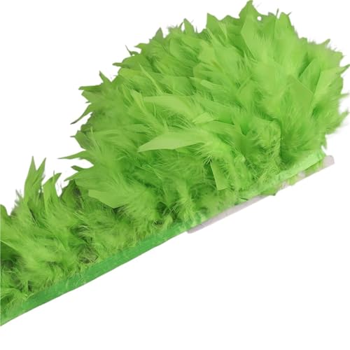 XPJYUA Federbesatz 10-15 cm Federn Trim DIY Hochzeit Türkei Feder Band Handwerk Nähen Kleidung Party Plume Handgemachte Wohnkultur(Green,10 Meters) von XPJYUA