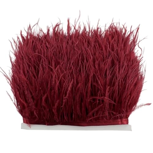 XPJYUA Federbesatz 8–10 cm Straußenfederbesatz for Handarbeiten und Kunsthandwerk, Federrockdekoration, Federn, Bandfransen(Wine red,10Meters) von XPJYUA