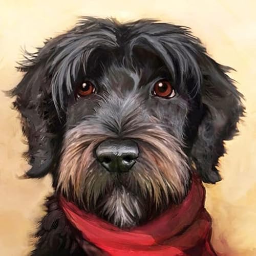 5D Diamond Painting, Diamond Painting Set, Diamant Painting Bilder Groß, Diy 5D Diamond Painting Bilder Set Diamant Malen Nachschwarzes Schnauzer Hundetier- 40Cm×50Cm von XURAN