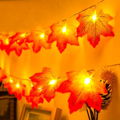 XVZ Ahornblatt Lichterkette, 3m 20LED Herbst Lichterkette mit Timer, Herbst Deko & Halloween Deko Batteriebetrieben Lichterkette für Erntedankfest, Halloween, Weihnachten - Rote Ahornblätter von XVZ