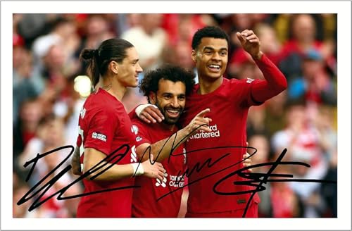 XYNZTF 5D Diamant Painting Set FüR Erwachsene Darwin Nunez, Mo Salah und Cody Gakpo – Liverpool unterschrieben DIY Diamond Painting Kristall Strass Diamant Stickerei GemäLde 15.7"x19.7"(40x50cm) von XYNZTF