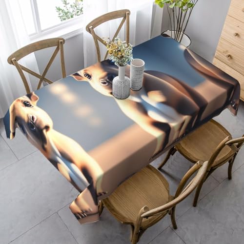 XZDAL Elegante und langlebige Ultra-HD-Tischdecke, rechteckig, 89 x 140 cm, für Abendessen, Brunch, Hochzeiten und mehr von XZDAL