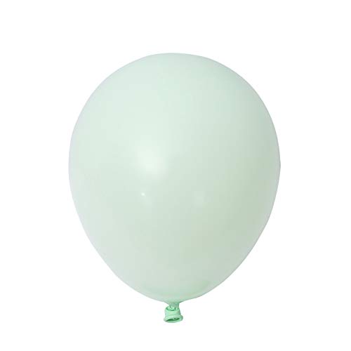 Xbsduih Grün Makrone Ballon Aus Latex 10 Latex Ballon Hochzeits Gestaltung Ballon von Xbsduih