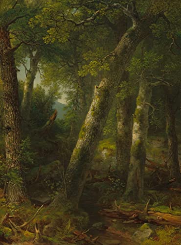 XcBAIHOUD Vintage Wandkunst Bilder Modern Canvas Leinwandbild Wald im morgenlicht von asher brown durand Wanddekoration Landschaft für Wanddekoration 60x90cm von XcBAIHOUD